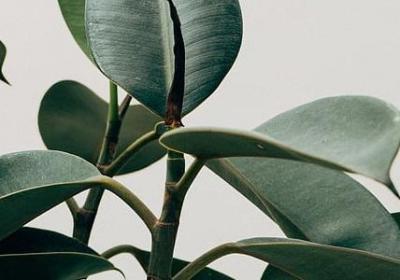 美国队长经典语录(合集40句)