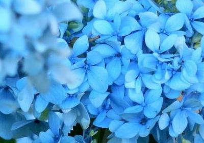 篮球经典语录(通用40句)