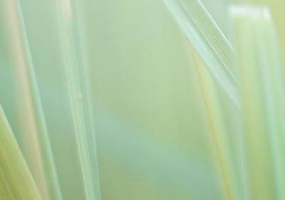 职场pua十大经典语录(87句)