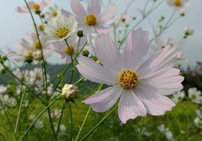 经典语录句子(共40句)