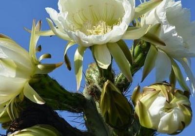 福尔摩斯经典语录英文(必备10句)