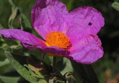 经典语录社会(实用20句)