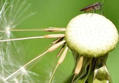 经典语录英文(实用120句)