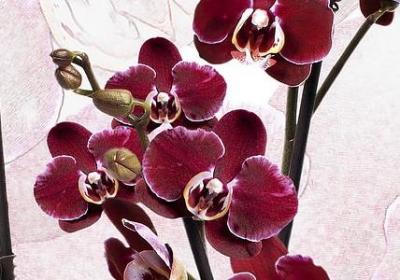 结婚为了什么经典语录(41句)