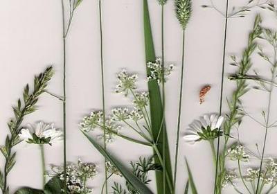 经历才能成长经典语录(共40句)