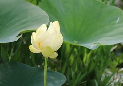 经典语录2265488Z空间(必备80句)