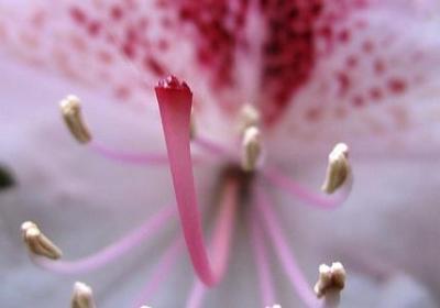 简短经典语录(汇总40句)