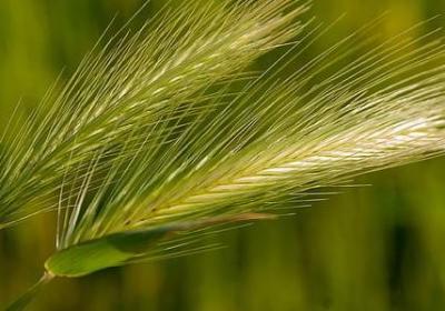 经典语录长篇(通用60句)