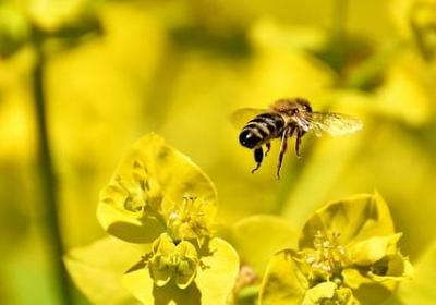 美国经典语录(实用80句)