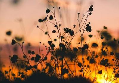 经典语录励志人生感悟(推荐60句)