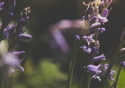 致未来的自己经典语录(优选70句)