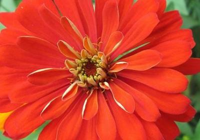 自由的经典语录(合集20句)