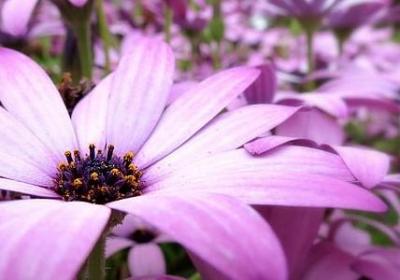 经典语录情话人生感悟(必备60句)