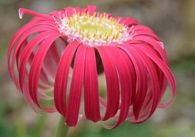 窦文涛经典语录(优选20句)