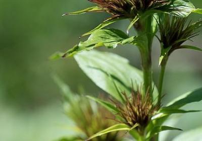 考试鼓励的经典语录(合集50句)