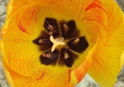 笑场经典语录(必备60句)