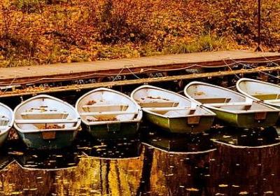 肖战经典语录(60句)