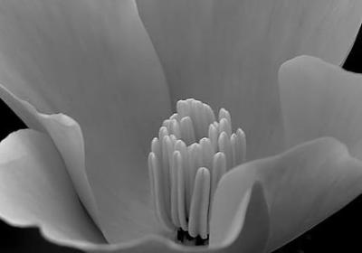 致良知经典语录(热门48句)