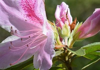 经典语录分享(热门20句)