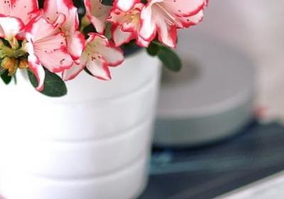 耽美小说经典语录(推荐70句)