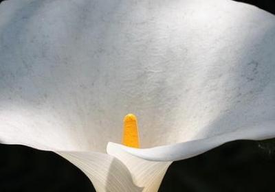 经典语录搞笑幽默句子(实用50句)