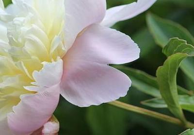 聊斋经典语录(合集100句)