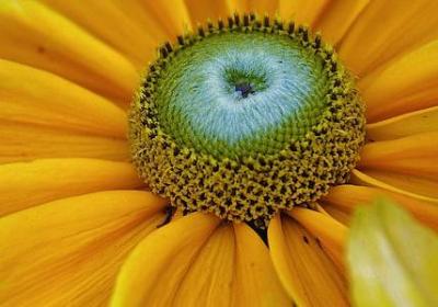 罗永浩经典语录(精选65句)