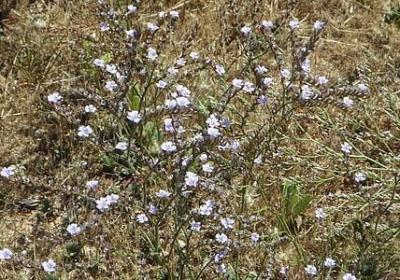 简单语录经典语录简短(实用50句)