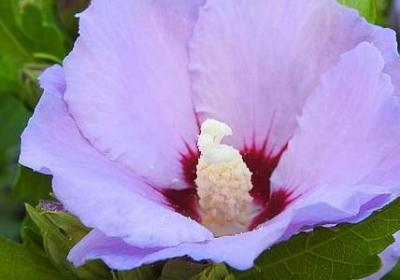 神秘博士经典语录(精选20句)