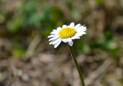 致30岁的经典语录(必备30句)