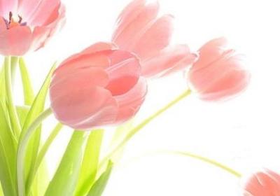 绝密543经典语录(汇总131句)