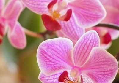 美食的经典语录(热门50句)