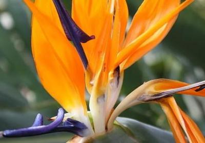 老舍的茶馆经典语录(优选40句)