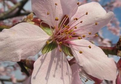 致青春语录经典语录(汇总50句)