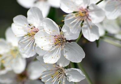 美与年龄无关经典语录(共60句)