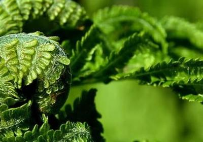 经典语录书籍(共60句)