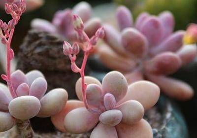 经典语录伤感(汇总40句)