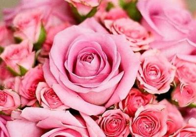 米歇尔奥巴马经典语录(必备20句)