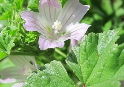 纸牌屋经典语录(合集50句)