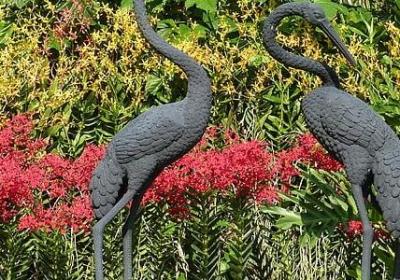 胡因梦经典语录(优选40句)