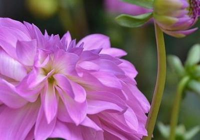 穷人与富人的经典语录(实用40句)