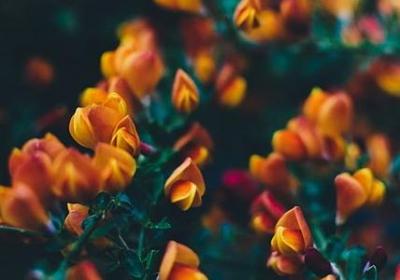 自己拯救自己经典语录(通用70句)