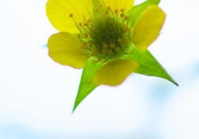 简短心情经典语录(汇总80句)