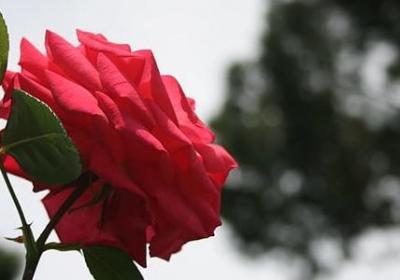 经典语录搞笑社会语句(合集60句)