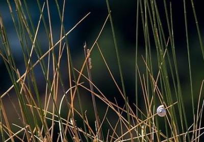 繁星经典语录(热门79句)