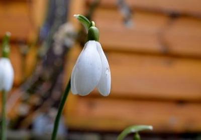 网络名句经典语录(通用20句)