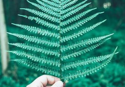 致自己经典语录(合集60句)