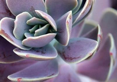 致女人的经典语录(汇总60句)