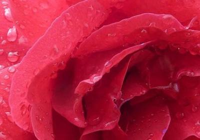 老师经典语录(实用60句)