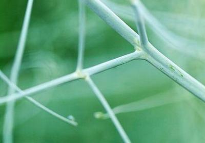 神探狄仁杰经典语录(热门70句) 神探狄仁杰经典语录(热门70句)